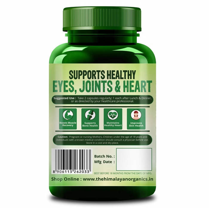 https://cdn.shopify.com/s/files/1/1857/6931/products/ek90lyoHfY.jpg?v=1626763487