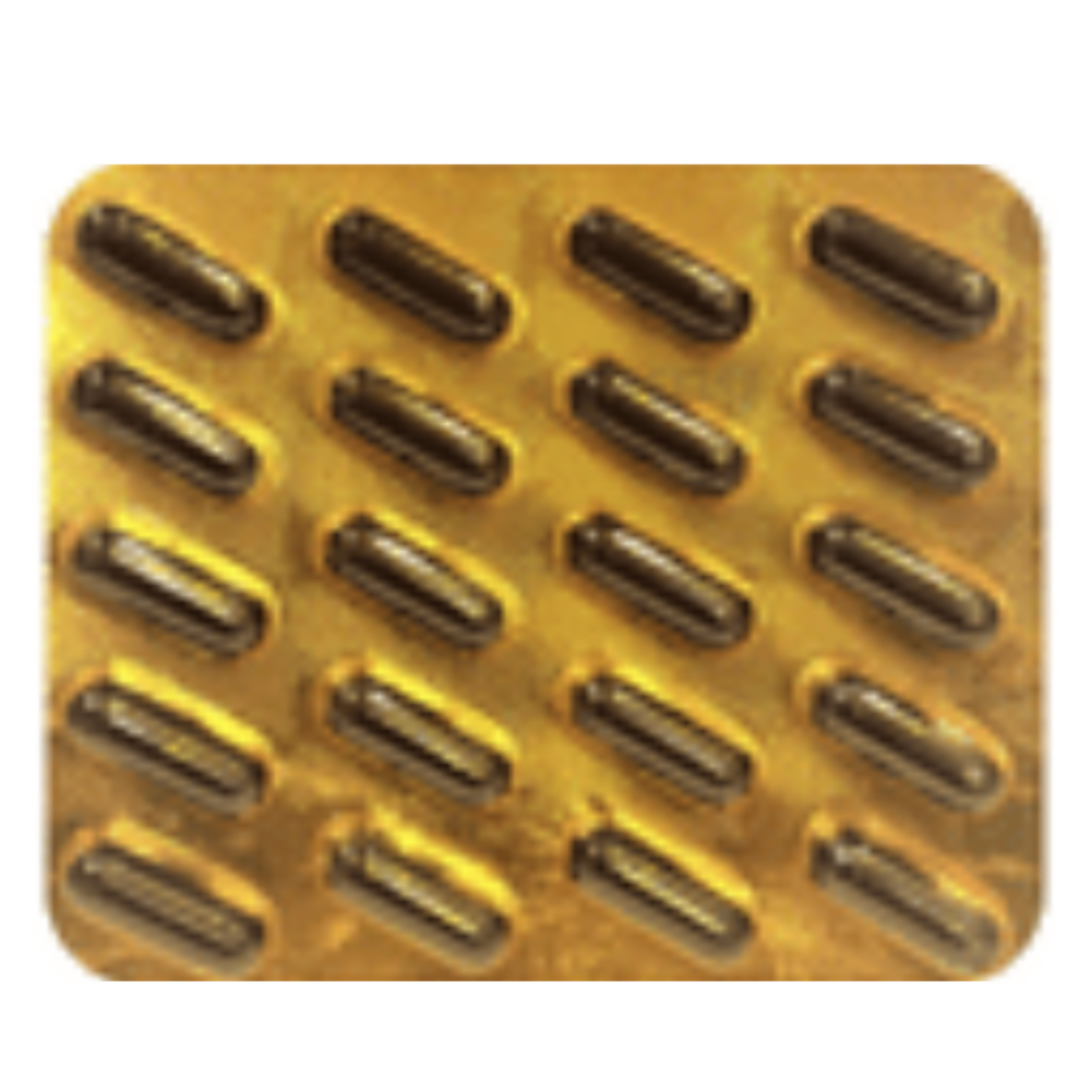 https://cdn.shopify.com/s/files/1/1857/6931/files/ekh9NCErmK.png?v=1738409563