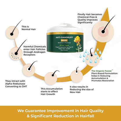 https://cdn.shopify.com/s/files/1/1857/6931/products/elo8JTBRgD.jpg?v=1643018769