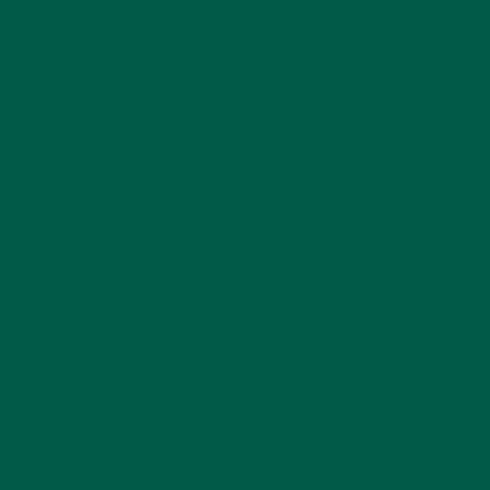 https://cdn.shopify.com/s/files/1/1857/6931/files/emrald-green-block-S_d140d0d4-b7c9-41ad-9eab-7030b95400cc.jpg?v=1769696114