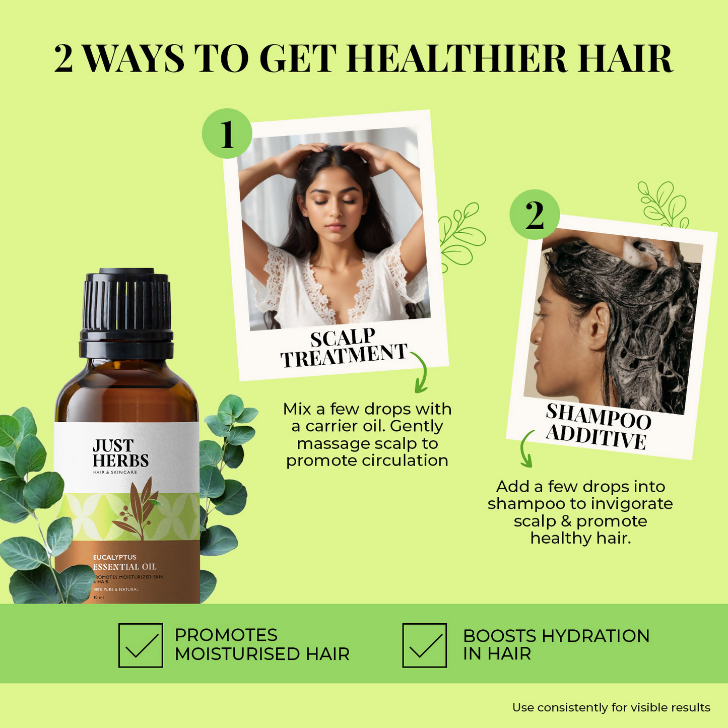 https://cdn.shopify.com/s/files/1/1857/6931/files/eoumzcoyX5.png?v=1739424067