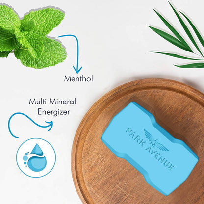 https://cdn.shopify.com/s/files/1/1857/6931/products/eptOC69EuI.jpg?v=1636976251