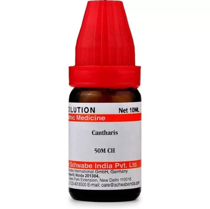 https://cdn.shopify.com/s/files/1/1857/6931/products/esBTSKE1ll.jpg?v=1613912135