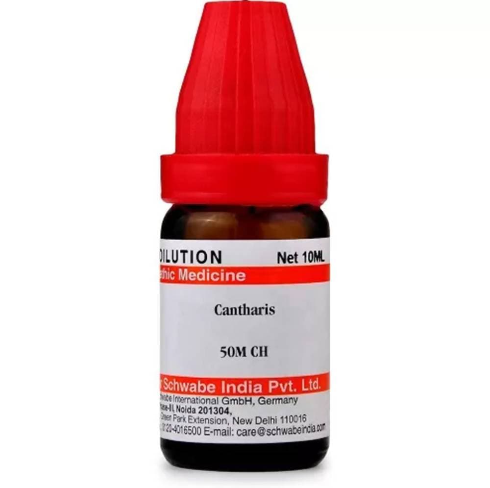 https://cdn.shopify.com/s/files/1/1857/6931/products/esBTSKE1ll.jpg?v=1613912135