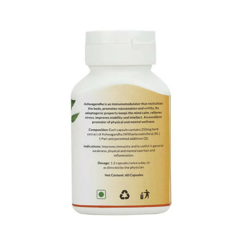 https://cdn.shopify.com/s/files/1/1857/6931/products/etmqFPXMr8.jpg?v=1668060041
