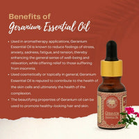 https://cdn.shopify.com/s/files/1/1857/6931/products/evQhpIS18G.jpg?v=1663757240