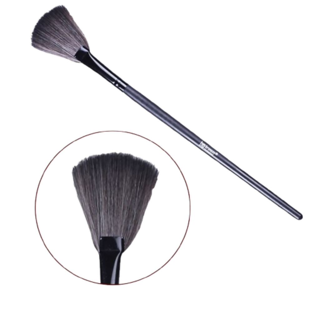 https://cdn.shopify.com/s/files/1/1857/6931/files/evagQop9wd.png?v=1785241295