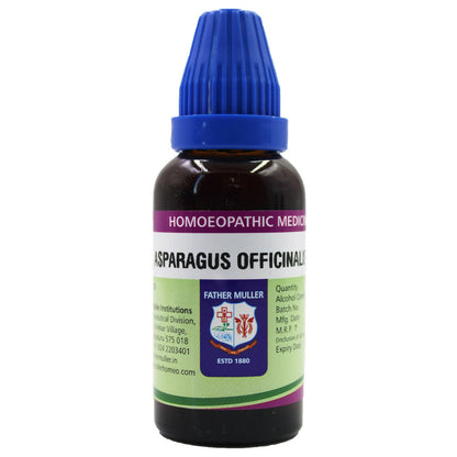 https://cdn.shopify.com/s/files/1/1857/6931/files/eyiqE1ecD1.jpg?v=1718255799