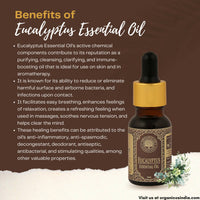 https://cdn.shopify.com/s/files/1/1857/6931/products/f0O0xiLTFb.jpg?v=1663756442