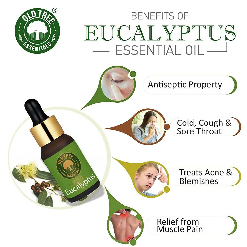 https://cdn.shopify.com/s/files/1/1857/6931/products/f10fZTIvP0.jpg?v=1683537728