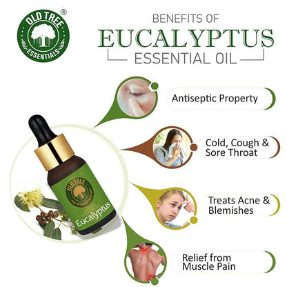https://cdn.shopify.com/s/files/1/1857/6931/products/f10fZTIvP0.jpg?v=1683537728