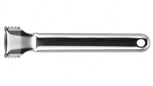 Image 4 of Dynore Stainless Steel Hand Coconut Peeler Scraper/Coconut Grater Set of 1