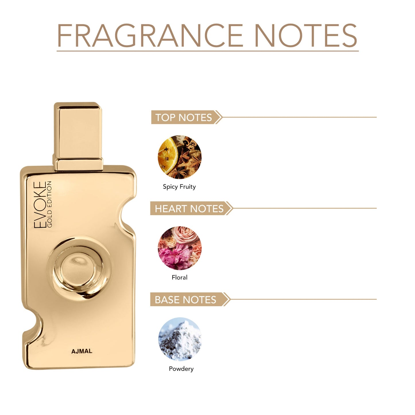 https://cdn.shopify.com/s/files/1/1857/6931/files/f3131606293708011278ab_ab2.jpg?v=1779877634