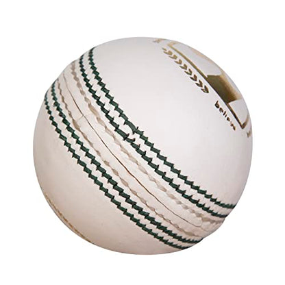 Image 2 of SG Cricket Balls Test LE (White)