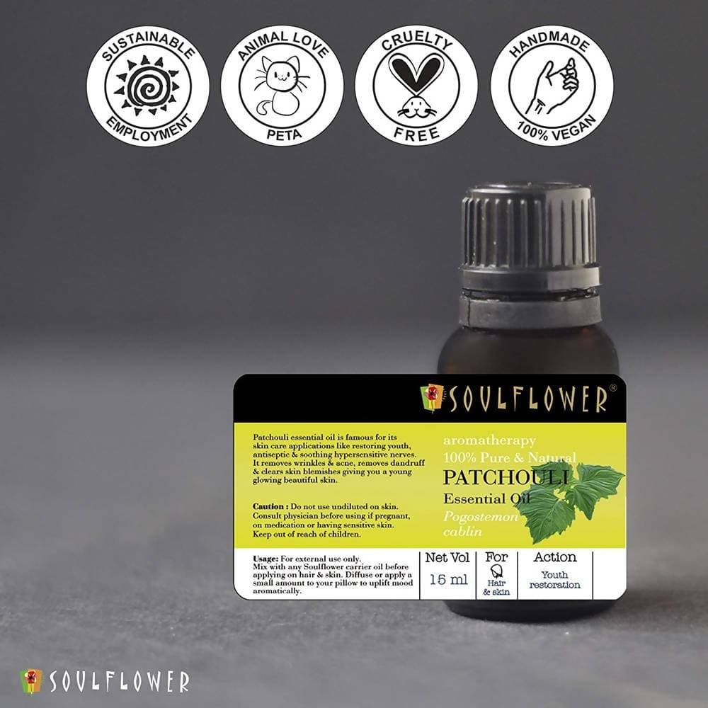 https://cdn.shopify.com/s/files/1/1857/6931/products/f4SG03LrMN.jpg?v=1614911256