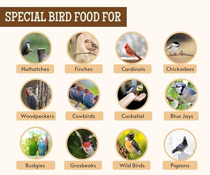 Image 14 of Foodie Puppies Striped Sunflower Seeds Bird Food