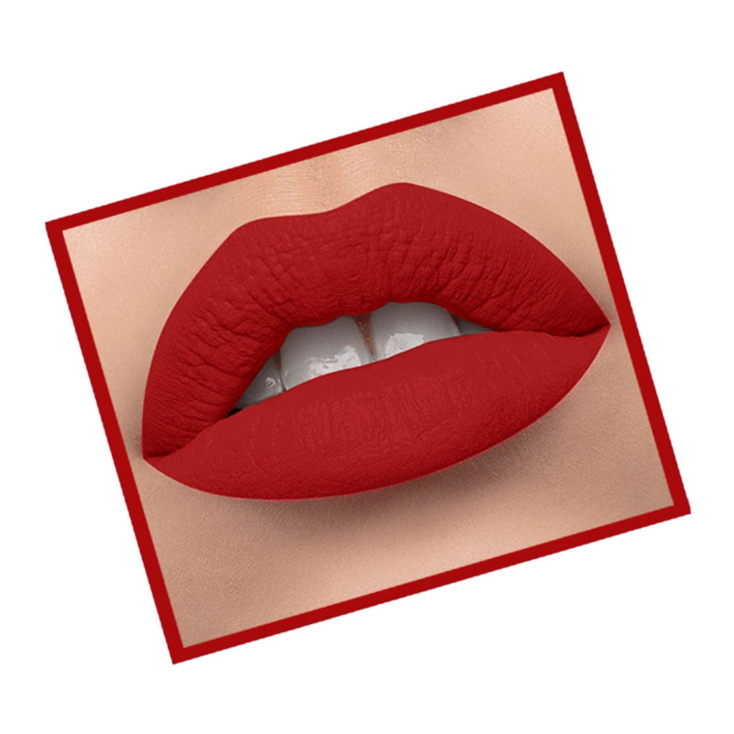 https://cdn.shopify.com/s/files/1/1857/6931/files/f587bfb8906154574799_2.jpg?v=1771585644