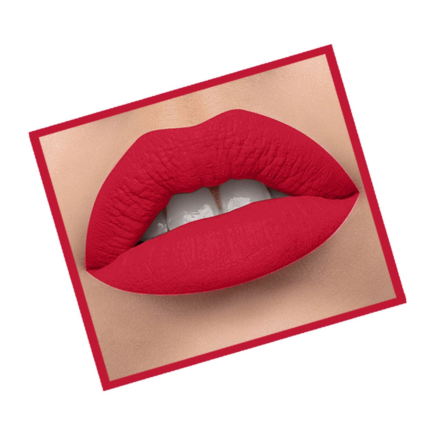 https://cdn.shopify.com/s/files/1/1857/6931/files/f587bfb8906154574829_2.jpg?v=1771585658