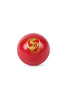 Image 1 of Default Title for the product SG Everlast Cricket Ball