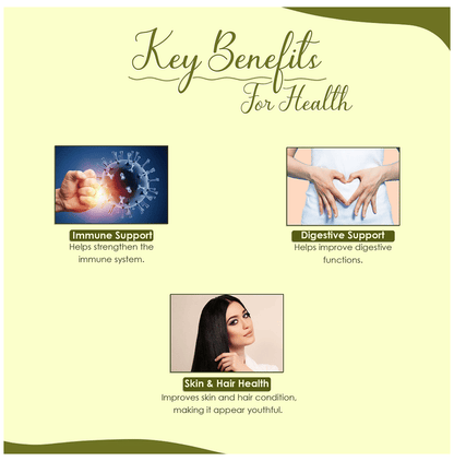 https://cdn.shopify.com/s/files/1/1857/6931/files/f87d69f5f4174212b7ceff14ec2c9f8b.png?v=1763541470