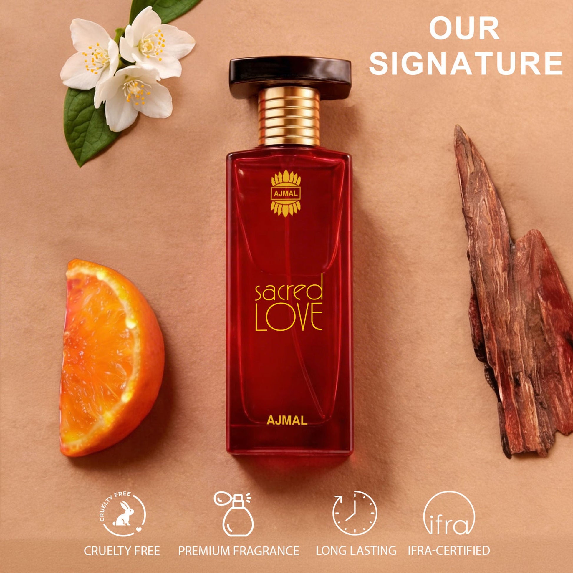https://cdn.shopify.com/s/files/1/1857/6931/files/f9199a0AJMAL00000140ab_ab05.jpg?v=1779877728