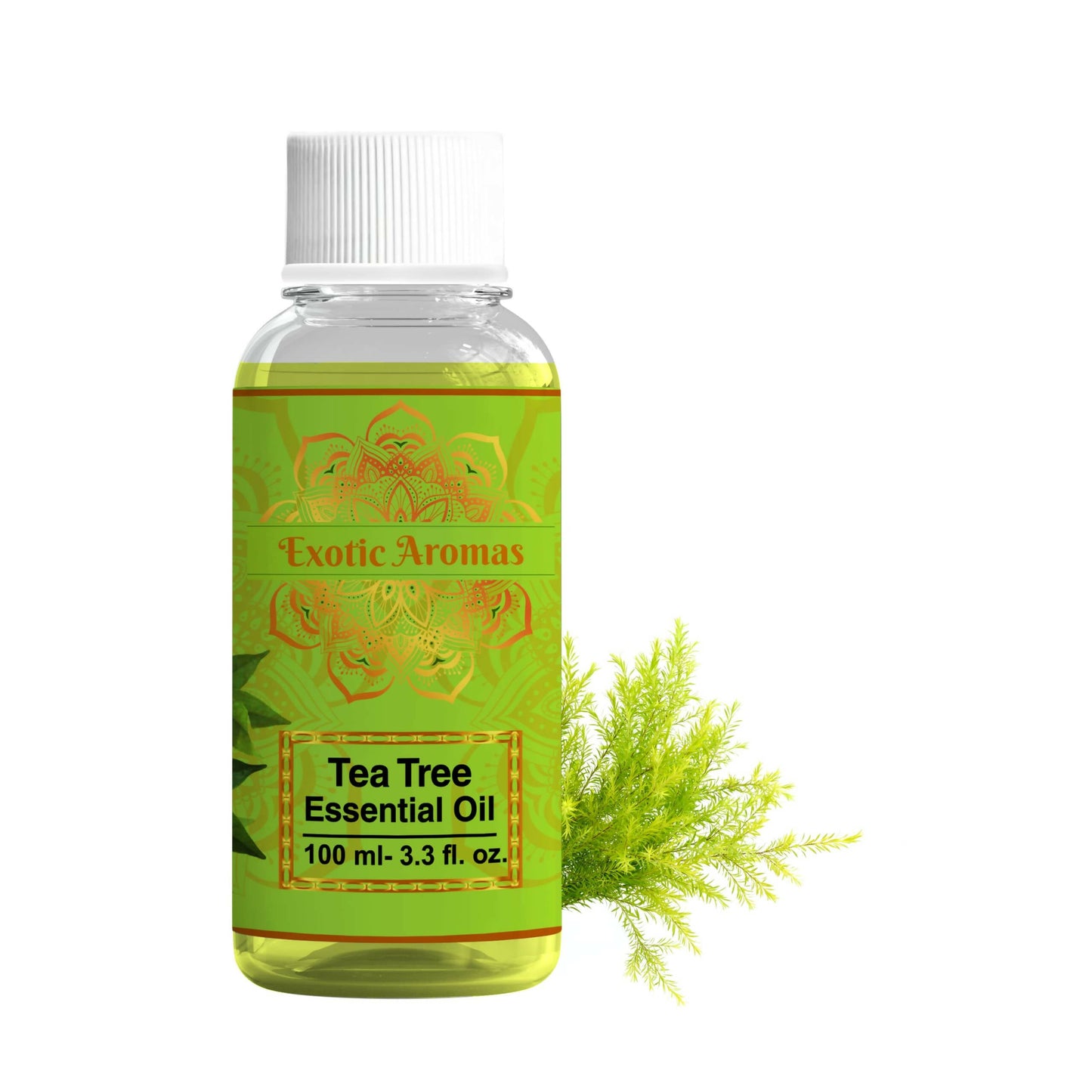 https://cdn.shopify.com/s/files/1/1857/6931/products/fA2MU4fZfz.jpg?v=1762382526