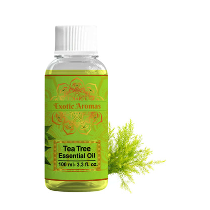 https://cdn.shopify.com/s/files/1/1857/6931/products/fA2MU4fZfz.jpg?v=1762382526