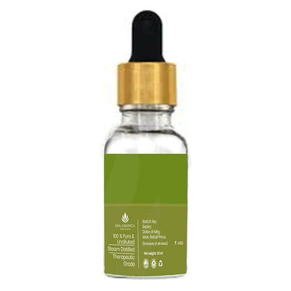 https://cdn.shopify.com/s/files/1/1857/6931/products/fAd29UlGIf.jpg?v=1667808684