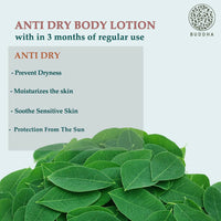 https://cdn.shopify.com/s/files/1/1857/6931/products/fAeQAX0DbF.jpg?v=1677576772
