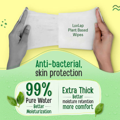 https://cdn.shopify.com/s/files/1/1857/6931/files/fEL5gycbGI.jpg?v=1773379571