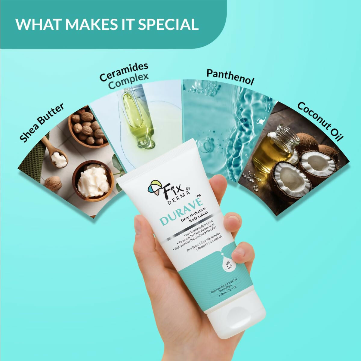 https://cdn.shopify.com/s/files/1/1857/6931/files/fG5xxs3bHV.jpg?v=1727089675
