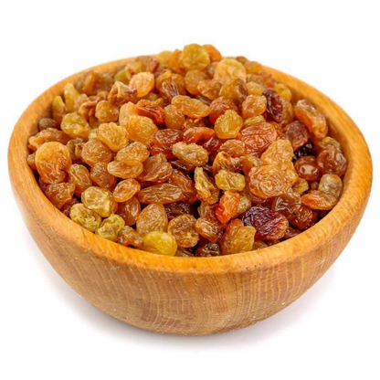 https://cdn.shopify.com/s/files/1/1857/6931/files/fHBuaLhYgX.png?v=1775637499