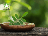 https://cdn.shopify.com/s/files/1/1857/6931/files/fJC7foq4Ed-916485.png?v=1736151179
