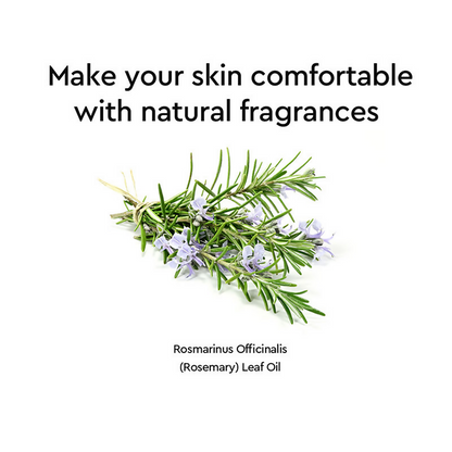 https://cdn.shopify.com/s/files/1/1857/6931/files/fJMz9UfGuK.png?v=1727784311