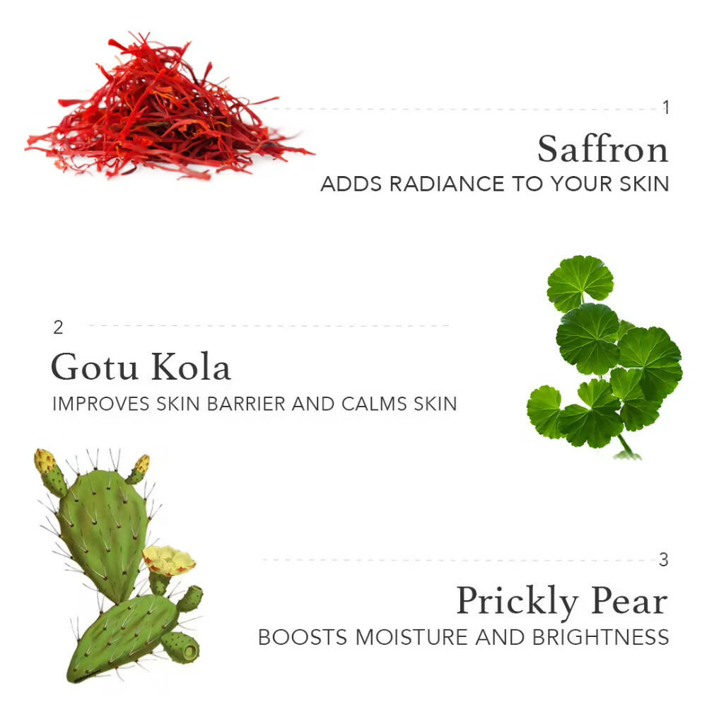 https://cdn.shopify.com/s/files/1/1857/6931/products/fRJoLKoatY.jpg?v=1663307470