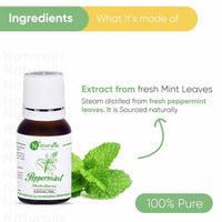 https://cdn.shopify.com/s/files/1/1857/6931/products/fRrAtobJQP.jpg?v=1623493185