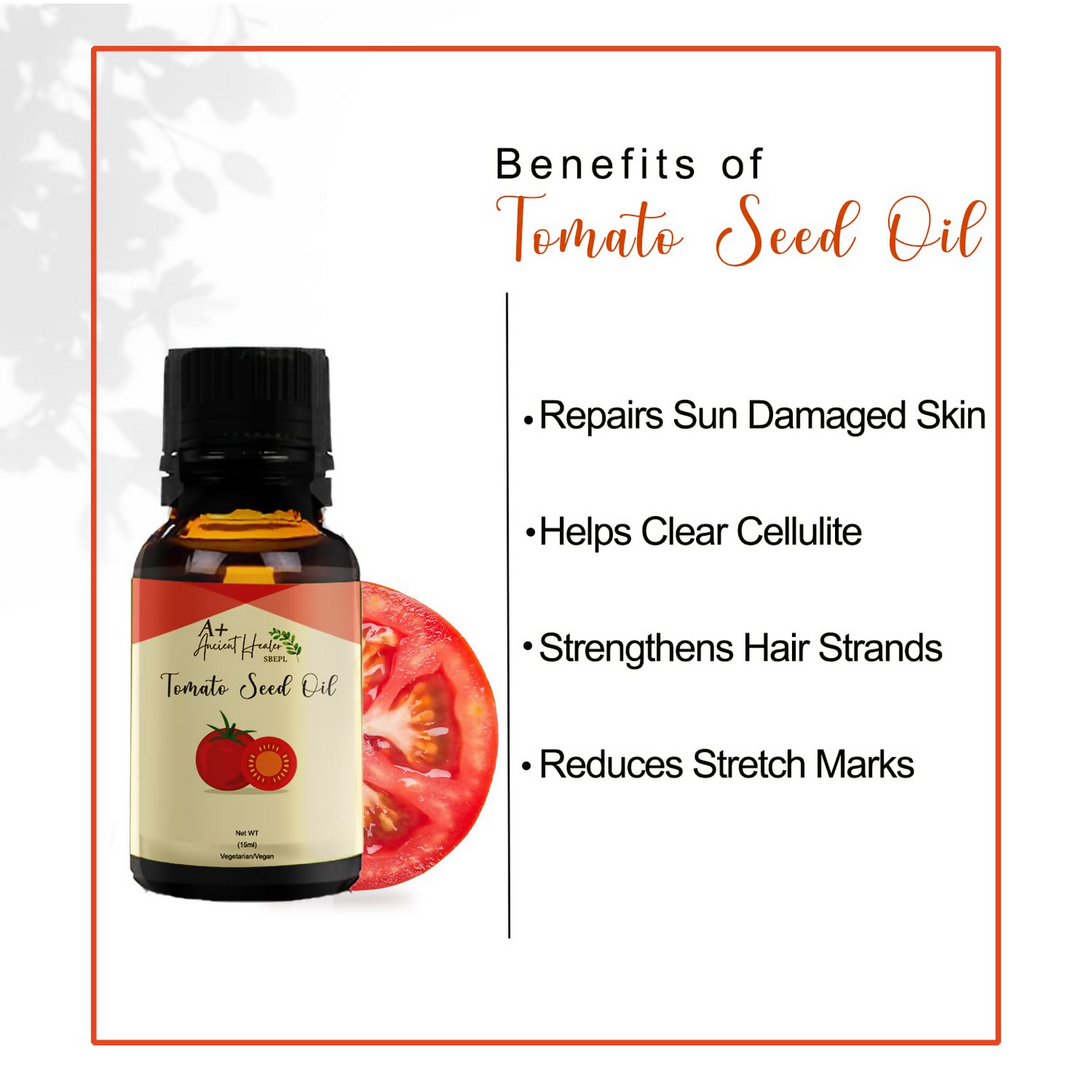 https://cdn.shopify.com/s/files/1/1857/6931/files/fTFv11Drat.png?v=1774607636