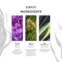 https://cdn.shopify.com/s/files/1/1857/6931/files/fXrGLA80dP.png?v=1728279218