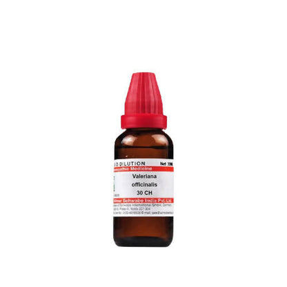 https://cdn.shopify.com/s/files/1/1857/6931/products/fYZLleNUYI.jpg?v=1640857653