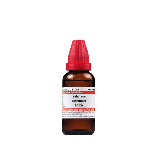 https://cdn.shopify.com/s/files/1/1857/6931/products/fYZLleNUYI.jpg?v=1640857653