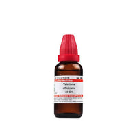 https://cdn.shopify.com/s/files/1/1857/6931/products/fYZLleNUYI.jpg?v=1640857653
