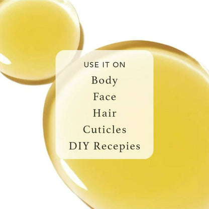 https://cdn.shopify.com/s/files/1/1857/6931/products/fZG0WE4rZK.jpg?v=1692700031