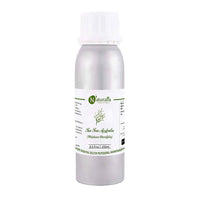 https://cdn.shopify.com/s/files/1/1857/6931/products/fZad2MDtsa.jpg?v=1623409561
