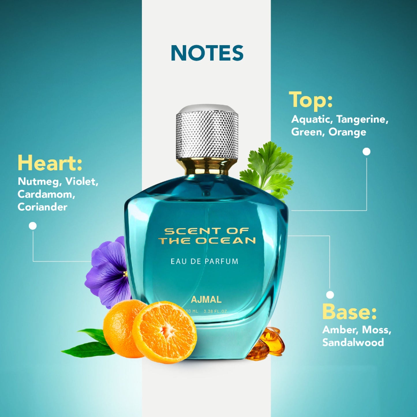 https://cdn.shopify.com/s/files/1/1857/6931/files/fa7dfe98904415824621_4.jpg?v=1779877645