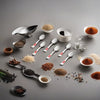 Image 1 of Default Title for the product HAZEL Stainless Steel Masala Spoons Set of 6, 8.8 Cm
