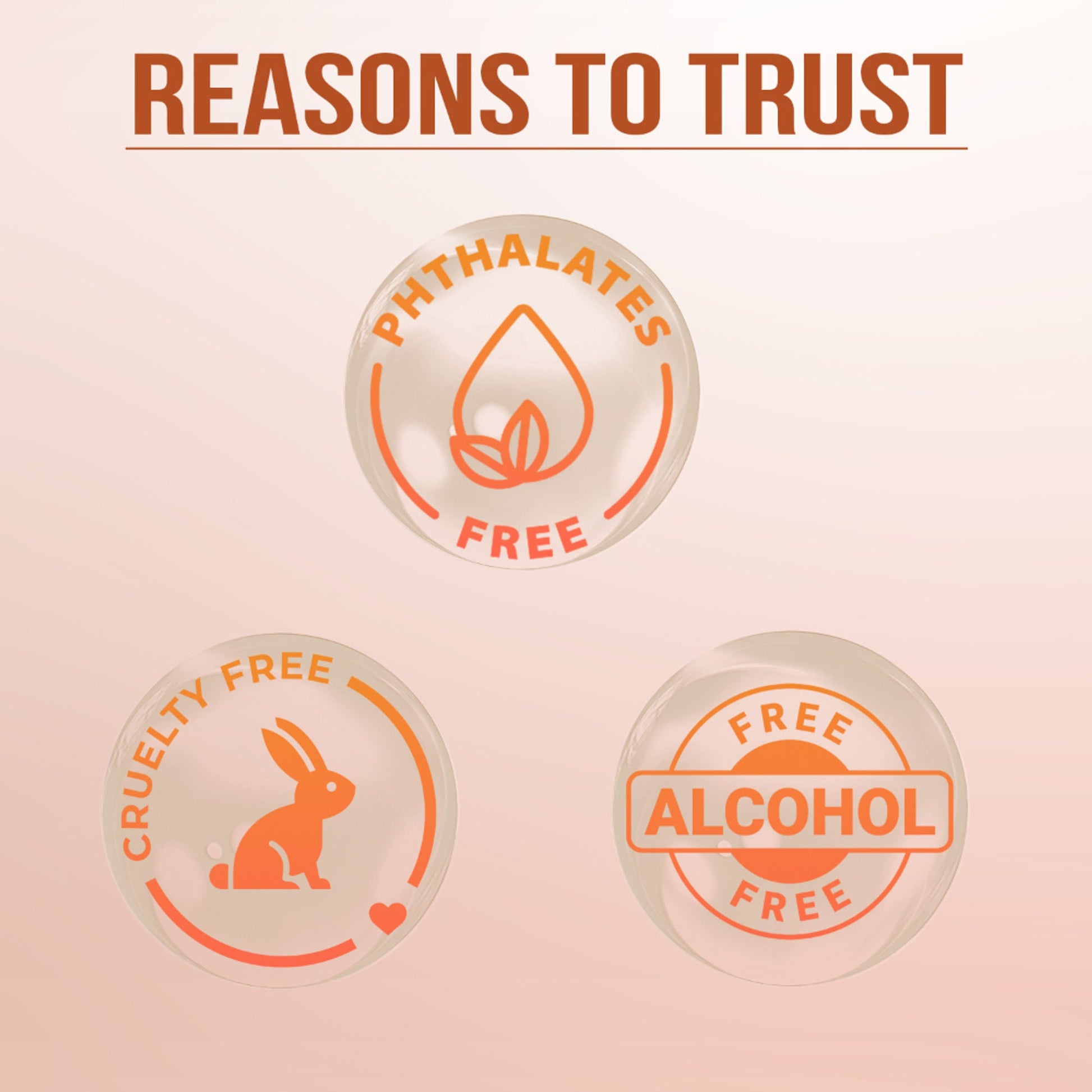 https://cdn.shopify.com/s/files/1/1857/6931/files/fd529c68906170771646_6.jpg?v=1771584667