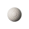 Image 1 of White for the product SG Synthetic Cricket Balls SWINGA White