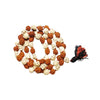 Image 1 of Default Title for the product Kapal Rudraksha Mala- Kapala Mala with Rudrakshas