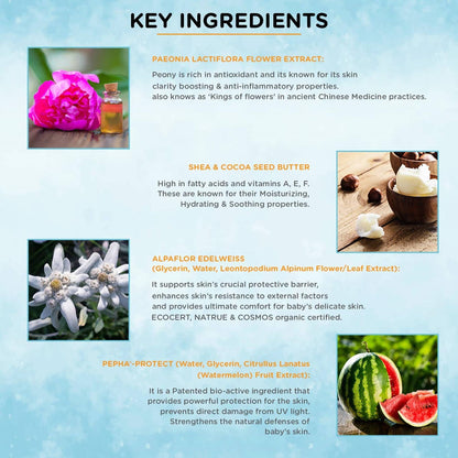 https://cdn.shopify.com/s/files/1/1857/6931/products/feqCnmvmiN.jpg?v=1639648450