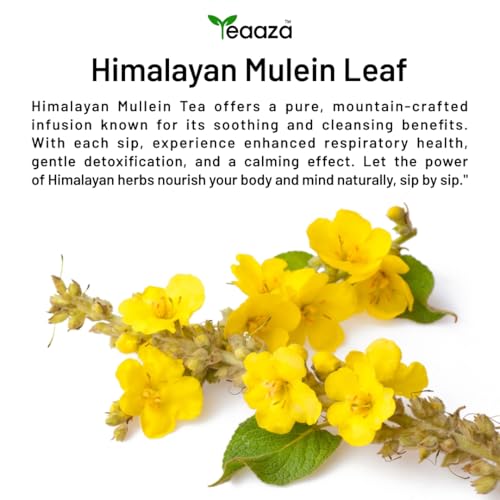 Image 9 of Teaaza Himalayan Mullein Tea |Lung Detox Tea